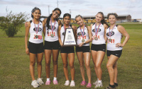 Kaufman XC wins three district titles