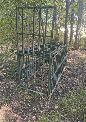 Luke is making plans to put his old hog trap to use. Some fresh prime wild pork is needed for an upcoming dinner and it’s time to break this old trap out of retirement. Photo by Luke Clayton