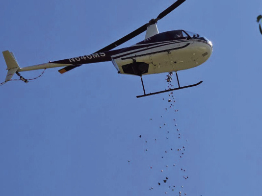 First Baptist Church in Kaufman hosted their Easter Egg drop recently as hundreds of eggs were dropped and children searched their little hearts out. Photo courtesy of John Broekhuizen