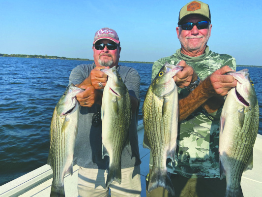 Guide Tony Parker (lt) and Jeff Rice show off a few nice fish landed during the first few hours of daylight last week. The bite was very good for hybrid stripers, an occasional pure striper and some jumbo white bass. Photo courtesy of Luke Clayton