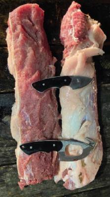 Luke considers prime cuts from wild hogs such as these backstraps to be some of the best eating from the wild. The trick is choosing the ‘right’ hog. Photo by Luke Clayton