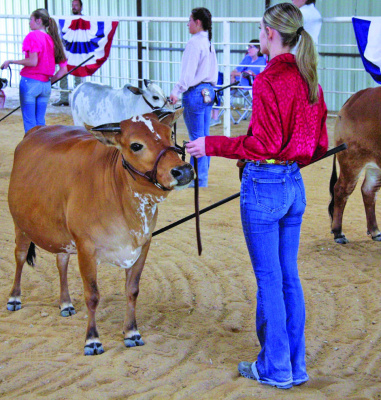 Kaufman County Homestead Day draws over 500 attendees