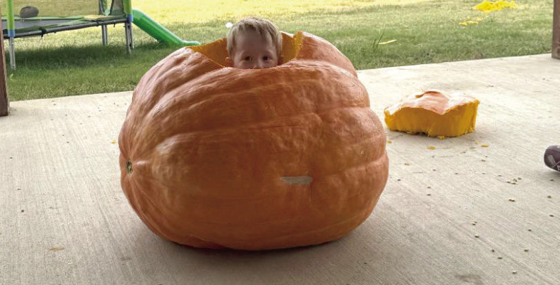 Scurry family grows giant pumpkin