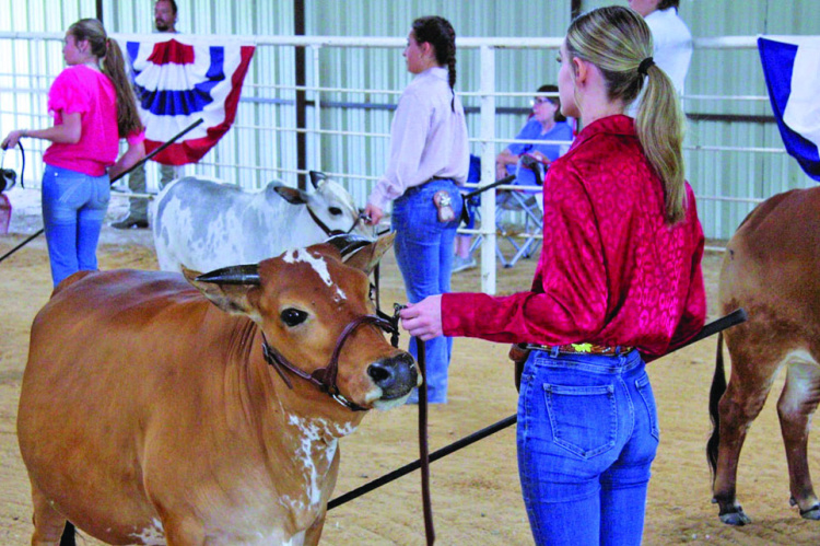 Kaufman County Homestead Day draws over 500 attendees