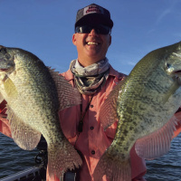 Cedar Creek Lake guide Chris Webb with two of many crappie landed this past week. Crappie are on a very dependable summer bite, holding tight to submerged structure but the bite is soft and proper technique is key to getting the hook set. Photo by Luke Clayton