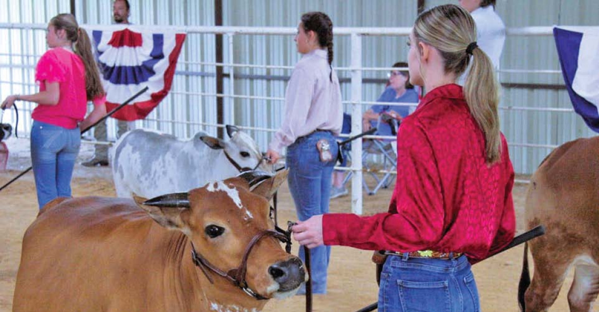 Kaufman County Homestead Day draws over 500 attendees